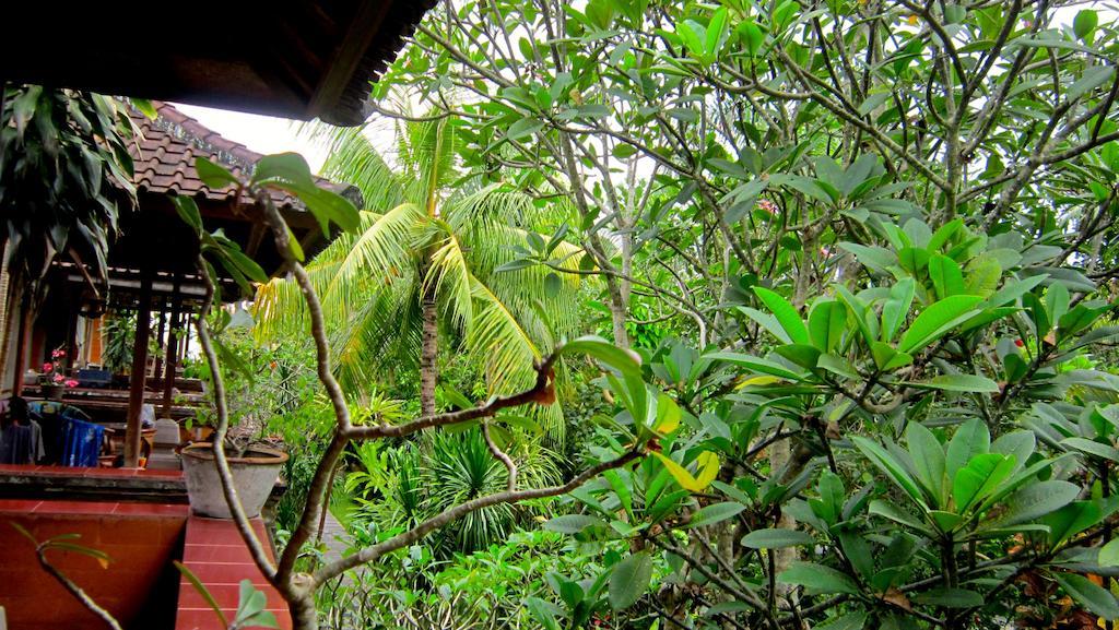 Ubud Bungalow हॉलिडे पार्क Ubud (Bali)